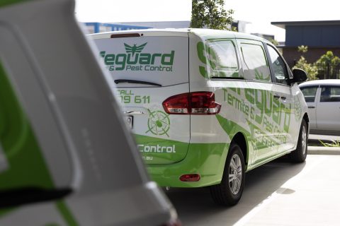 TERMITE BAITING SYSTEMS - Safeguard Pest Control Sunshine Coast