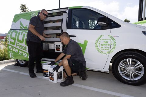 BODY CORPORATE PEST CONTROL - Safeguard Pest Control Sunshine Coast