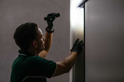 PEST INSPECTION SUNSHINE COAST - Safeguard Pest Control Sunshine Coast