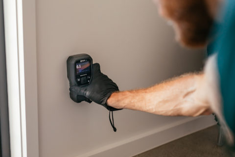 PEST INSPECTION SUNSHINE COAST - Safeguard Pest Control Sunshine Coast