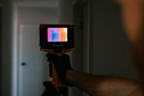 TERMITE INSPECTION - Safeguard Pest Control Sunshine Coast